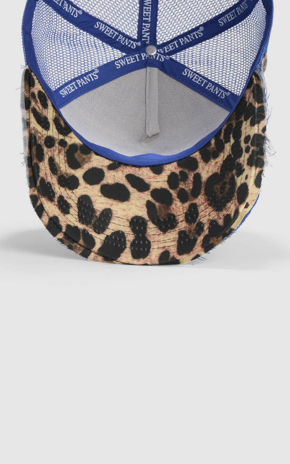 HOM RUN LEO AZURE LÉOPARD